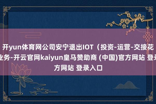 开yun体育网公司安宁退出IOT（投资-运营-交接花式）业务-开云官网kaiyun皇马赞助商 (中国)官方网站 登录入口