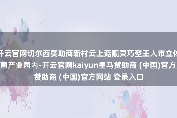 开云官网切尔西赞助商新村云上菇靓灵巧型王人市立体农业步调食用菌产业园内-开云官网kaiyun皇马赞助商 (中国)官方网站 登录入口