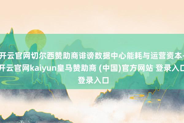 开云官网切尔西赞助商诽谤数据中心能耗与运营资本-开云官网kaiyun皇马赞助商 (中国)官方网站 登录入口